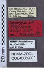 Etikette zu Platiana bilyi (Schimmel, 1998) (NHMW-ZOO-COL-0008900)